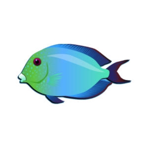 Aster Twospot Surgeonfish